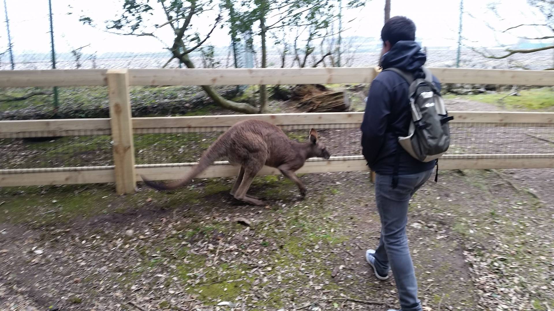 13_4_2019_fota-cobh-5.jpg